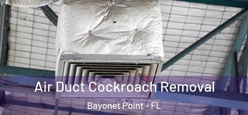  Air Duct Cockroach Removal Bayonet Point - FL