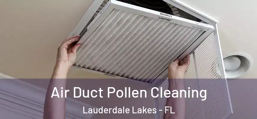 Air Duct Pollen Cleaning Lauderdale Lakes - FL