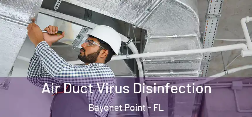  Air Duct Virus Disinfection Bayonet Point - FL