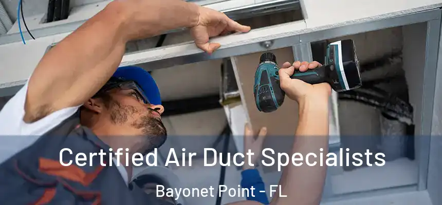  Certified Air Duct Specialists Bayonet Point - FL