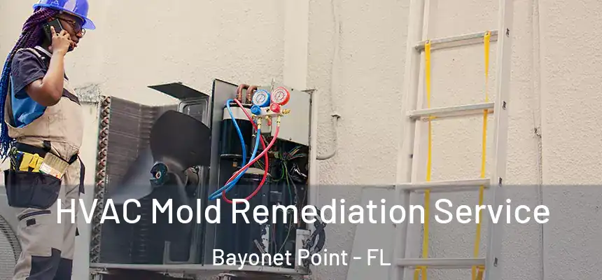  HVAC Mold Remediation Service Bayonet Point - FL