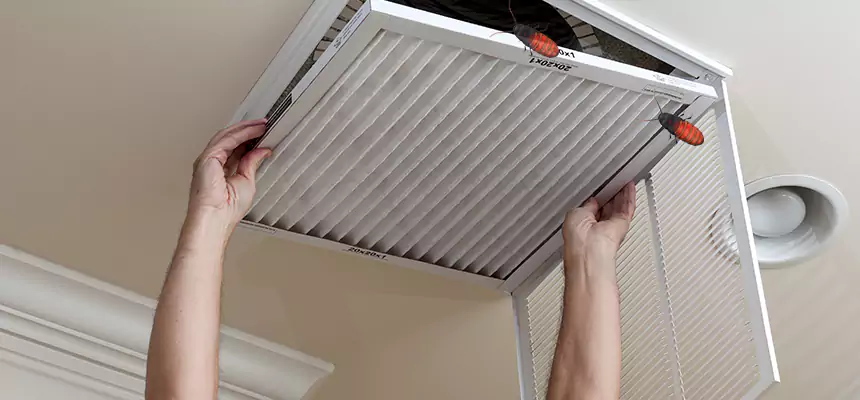 Preventive Cockroach-Proofing for Ducts in Lauderdale Lakes