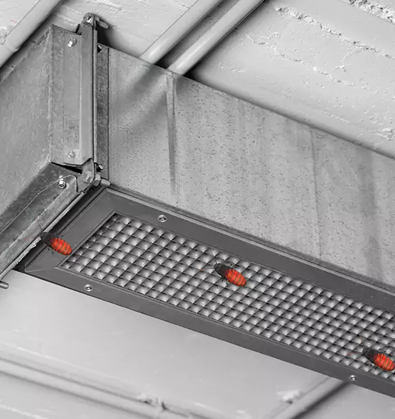 About Air Duct Cockroach Removal in Lauderdale Lakes, FL