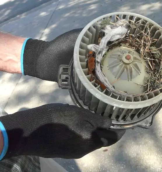 About Air Duct Rat Removal in Lauderdale Lakes, FL