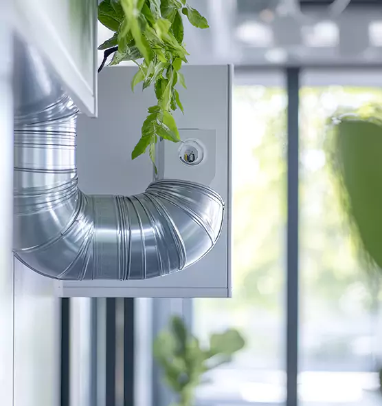 Professional Eco-Safe Dryer Vent Cleaning in Lauderdale Lakes, FL