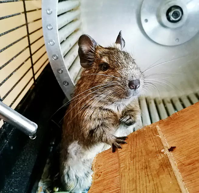 Why Homeowners & Businesses Trust Us Lauderdale Lakes, FL