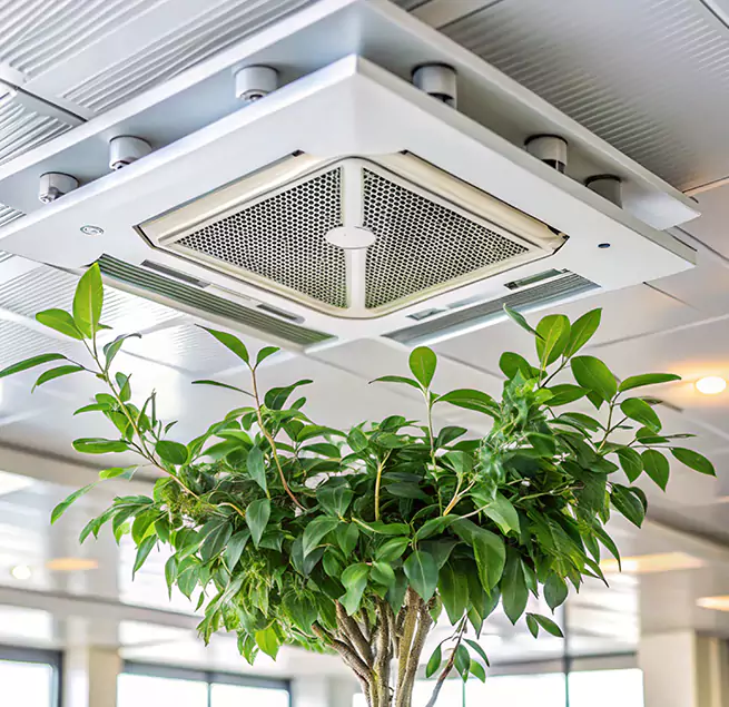 Why Homeowners & Businesses Trust Us in Lauderdale Lakes, FL?