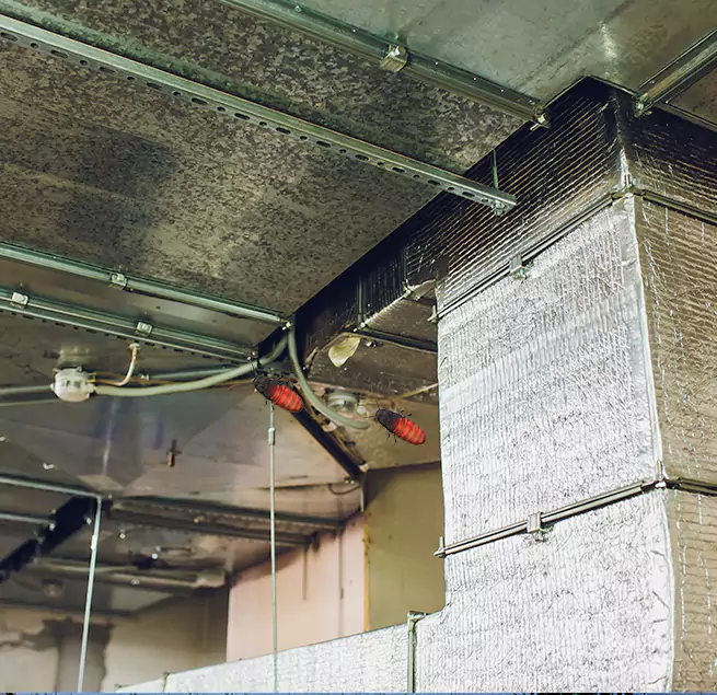 Why Homeowners & Businesses Trust Us Bayonet Point, FL?